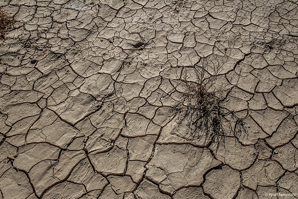 Parched Earth in Negev 150930-2