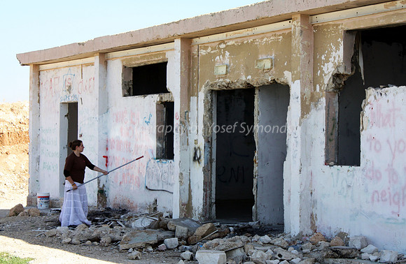 Cleaning Anti-Zionism from Walls 1
