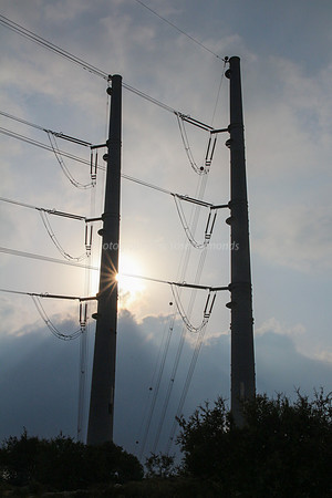 Spiking Nature 1