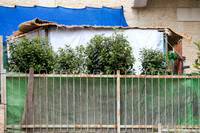 Container Sukkah