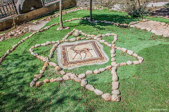 Mosaic in Zar Home Grounds 180927-4