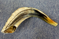 Shofar DSC06088