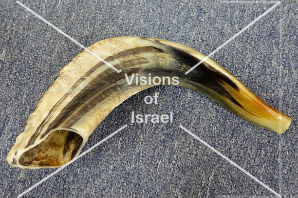 Shofar DSC06088