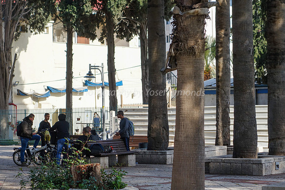 Ramle Park 8