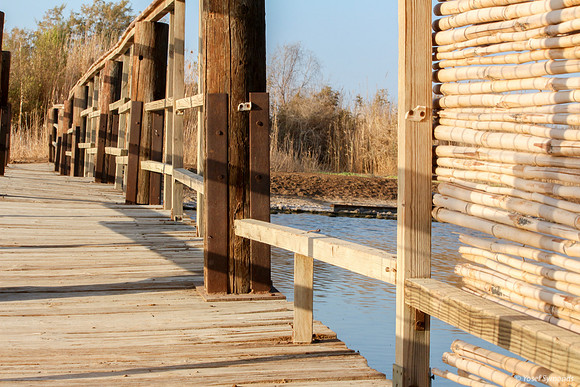 Bridge on Southern Lake 11
