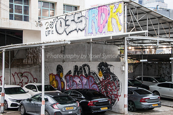 Even Garages Deserve Brightening with Graffiti 181220-1