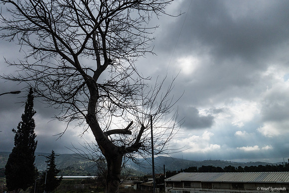 Overcast Skies 200226-4