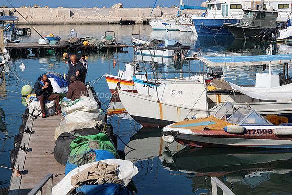 Jaffa Fishing Port