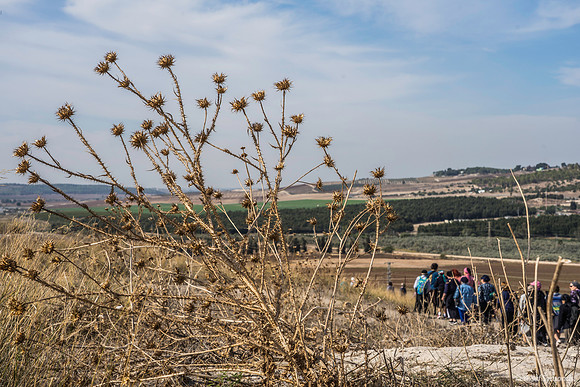 View Looking South-West from Tel Beit Shemesh 191121-3
