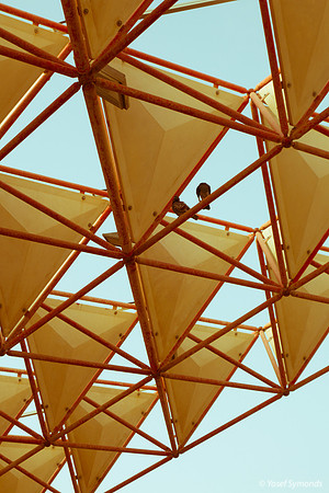 Amphitheater 190804-6