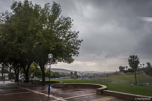 Beit Shemesh Parkland After Rain 191208-1