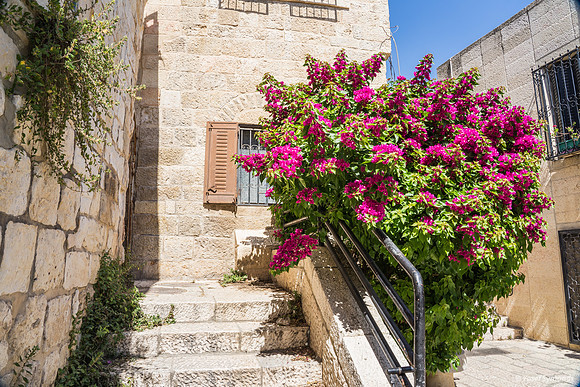 Courtyard Jerusalem DSC04676