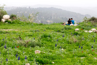 Young Couple Picnicking