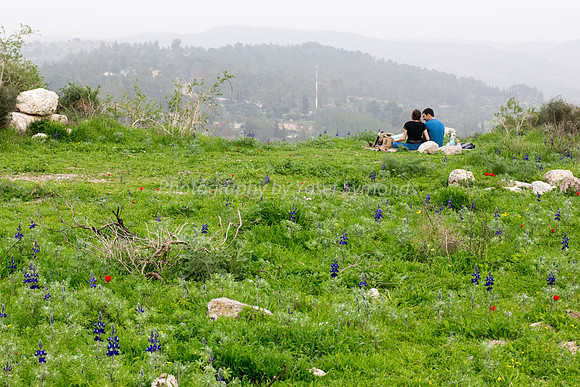 Young Couple Picnicking