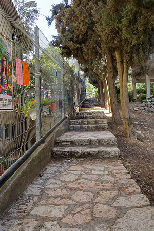 Backyard Path 2