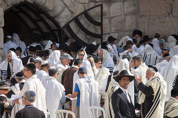 Western Wall קוטל המערבי