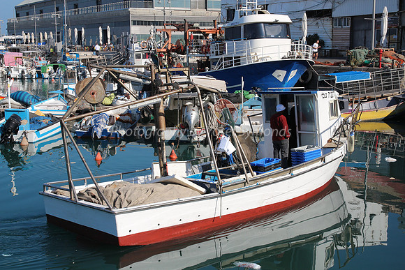 Jaffa Fishing Port