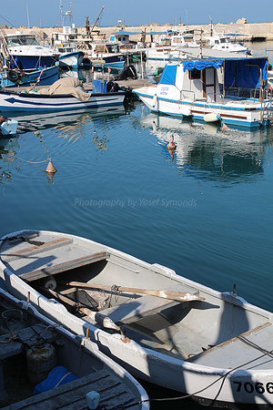 Jaffa Fishing Port