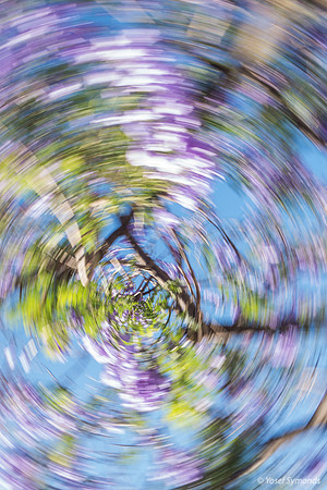 Jacaranda Maor Spinning 200526-10