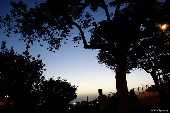 Nachal Maor at Dusk 2