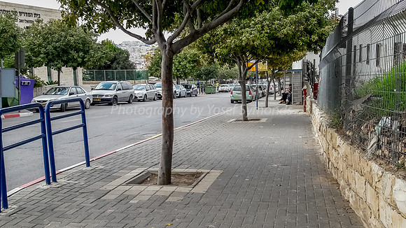 Bus Stop 4