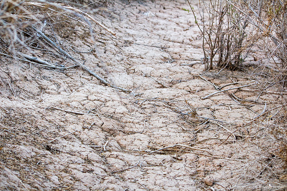 Path Testifies to Heat in Eilat 170829-2