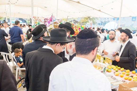 Looking for an Etrog 191013-1