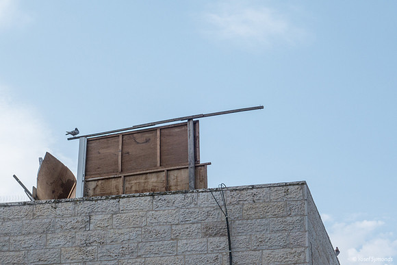 David's Fallen Sukkah 191016-1
