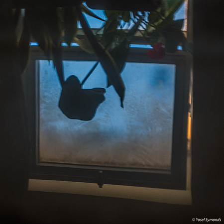 Window Reflection on Tile 200525-1