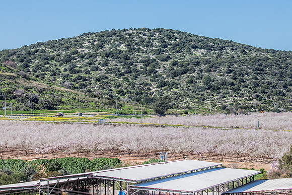 View Across Kibbutz to Lupin Hill 200228-1