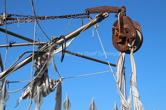 Jaffa Fishing Port