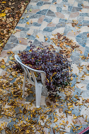 Patio Evidence of Fall 181224-1