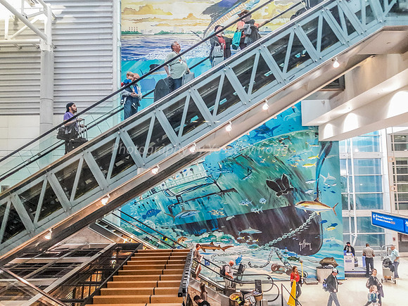 Fort Lauderdale Airport Displaying Its Colors 190127-1