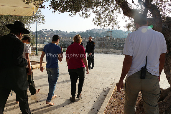 Herding 161009-1