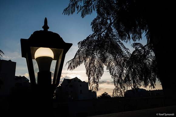 Helping to Light the Morning 191217-1