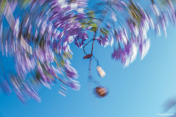 Jacaranda Maor Spinning 200526-13