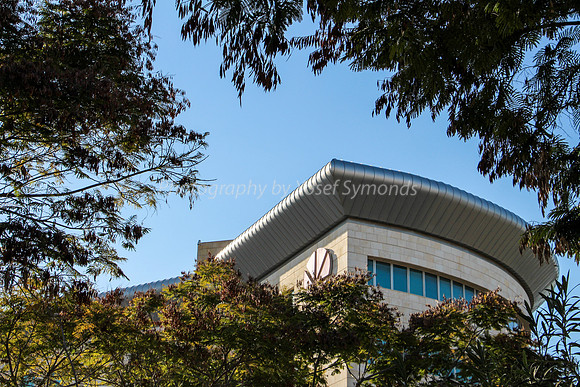 Building and Branches
