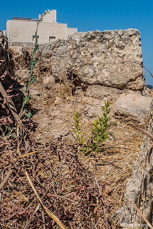 Cracks Beit Shemesh 190802-6