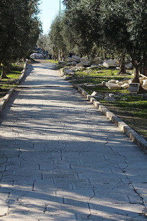 140209-HarHabayit-9893