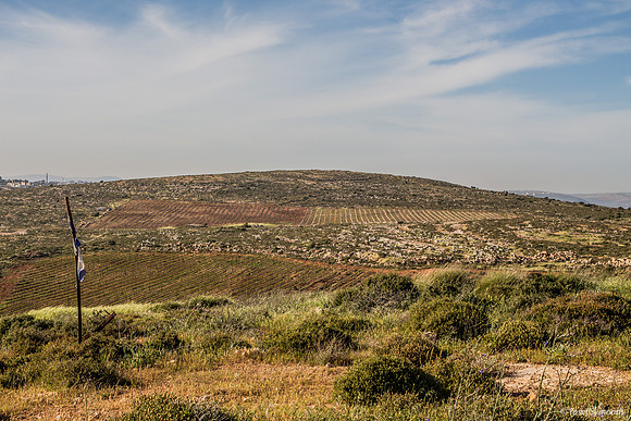 View Looking East from Mount Kida 6