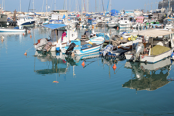 Jaffa Fishing Port