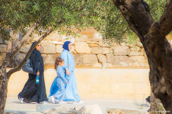 Arab Women Visitors 250731-3