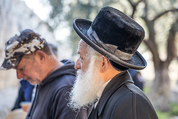 Rabbi Yosef Elboim 190212-2
