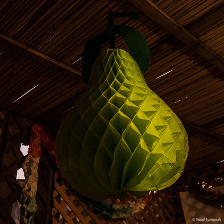 Green Sukkah Decoration 191017-1