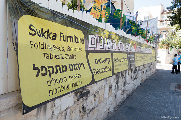All Needs for Sukkot 191008-1