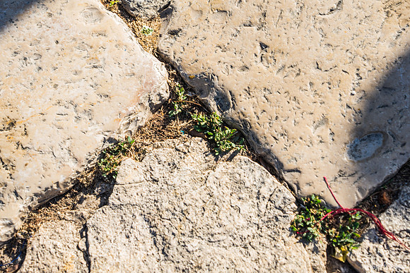 Cracks - Har Habayit 190610-1