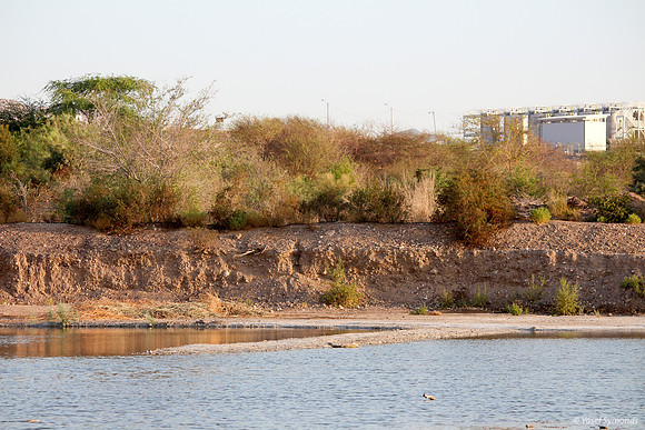 Lake Anita Looking West 2