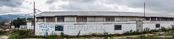 Panorama Grocery in Field 200226-1