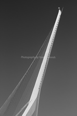 150201-StringBridge0684