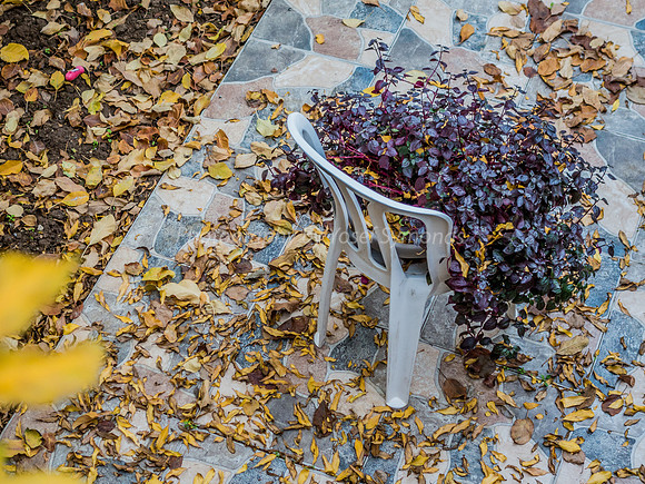 Patio Evidence of Fall 181224-2